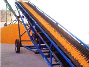 Grain belt conveyors on site