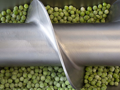 Stainless Steel Screw Conveyor Conveying Peas