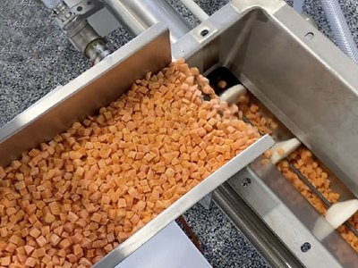 Stainless Steel Screw Conveyor Conveying Freeze Dried Carrots