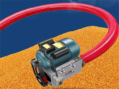 Wheat spring suction conveyor