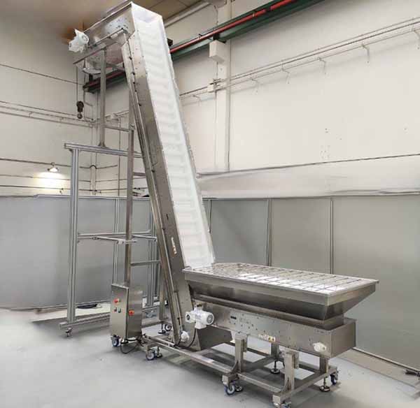  Oilseed belt conveyor