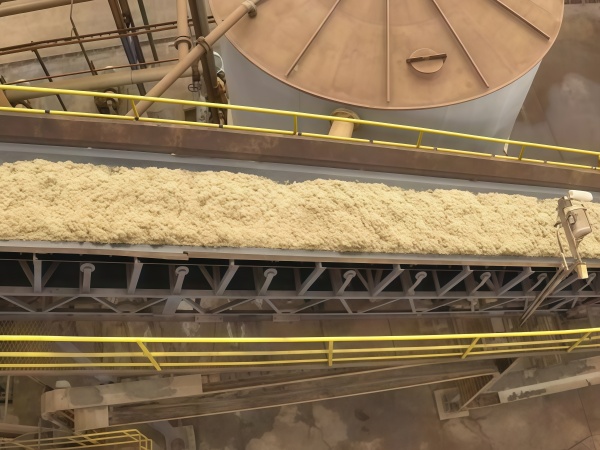 Sugar Cane Bagasse Conveyor Selection Guide