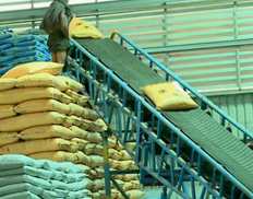 Small belt conveyor for food
