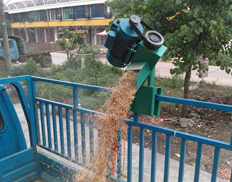 Conveying rice husk