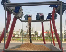 Conveying rice husk