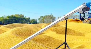 Handheld Stainless Steel Grain Collector Machine