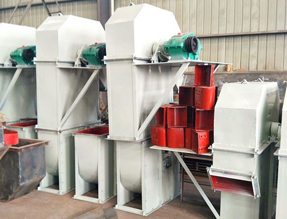 Bucket elevator for paddy
